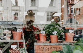 Як журналістам і екоекспертам порозумітися Eco_journalism